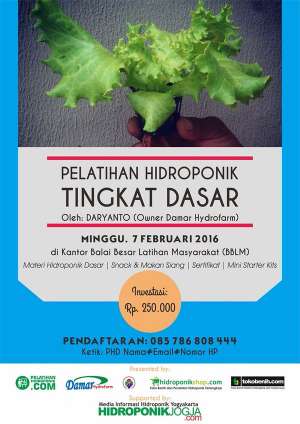 Pelatihan Hidroponik