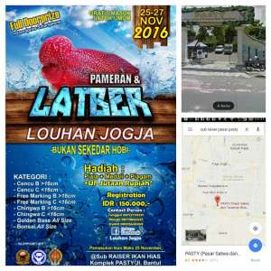Pameran & Latber Louhan Jogja 