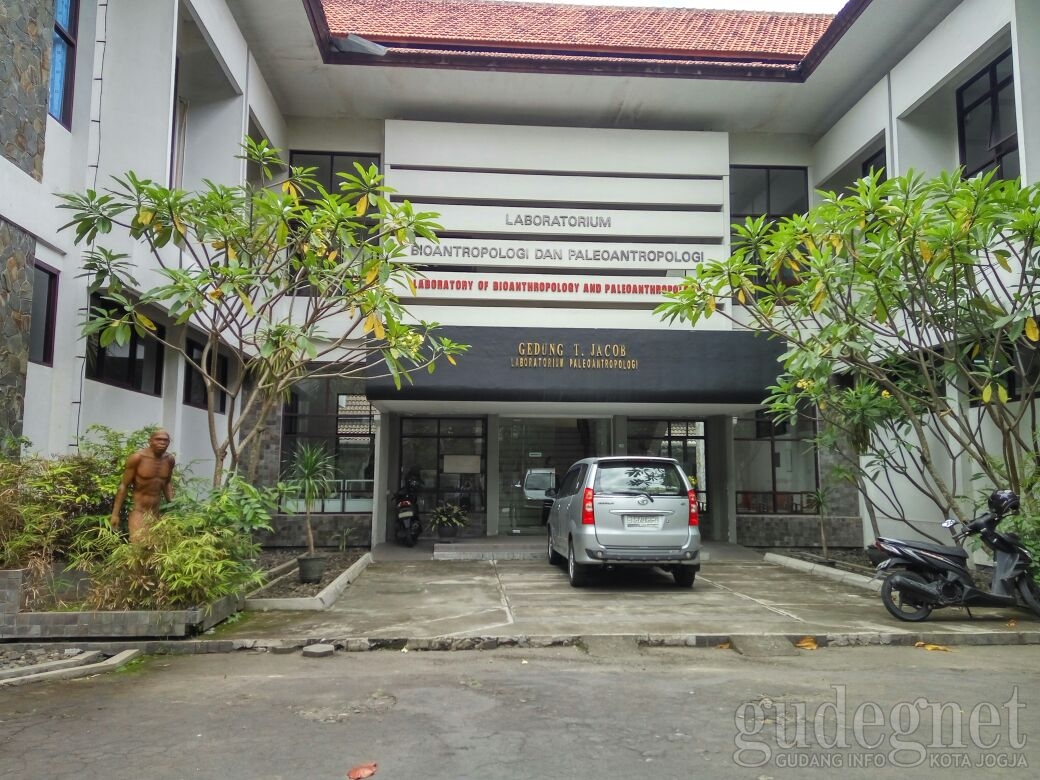 Museum Bioantropologi dan Paleoantropologi