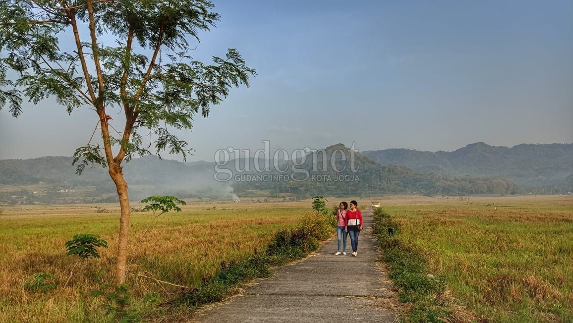 Perbukitan Menoreh di Pedukuhan Pronosutan, Kelurahan Kembang, Kapanewon Nanggulan, Kulonprogo.