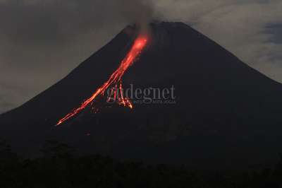 Guguran Lava Pijar Gunung Merapi