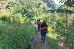 Jalan setapak menuju Curug Sidoharjo