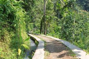 Jalan setapak menuju Curug Sidoharjo