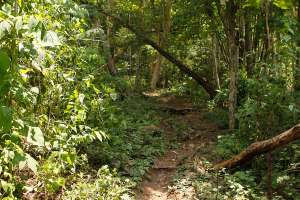 Jalan menuju grojogan Sewu Watu