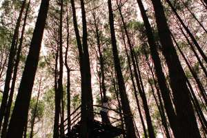 Lokasi yang cocok buat selfie atau foto pre wedding 
