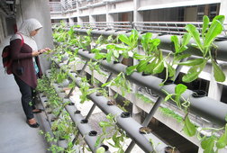 Eco Green Living Jawaban Hunian Masa Kini Eco Green Living Jawaban Hunian Masa Kini