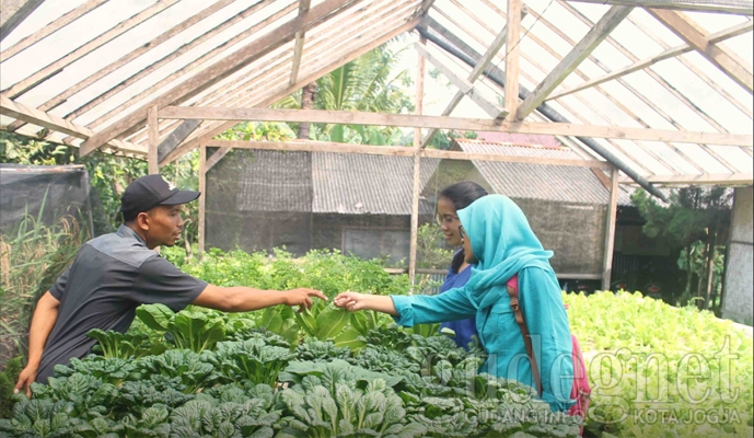 Keren, Tanaman Hidroponik Diawasi Pakai Aplikasi Android! Keren, Tanaman Hidroponik Diawasi Pakai Aplikasi Android!