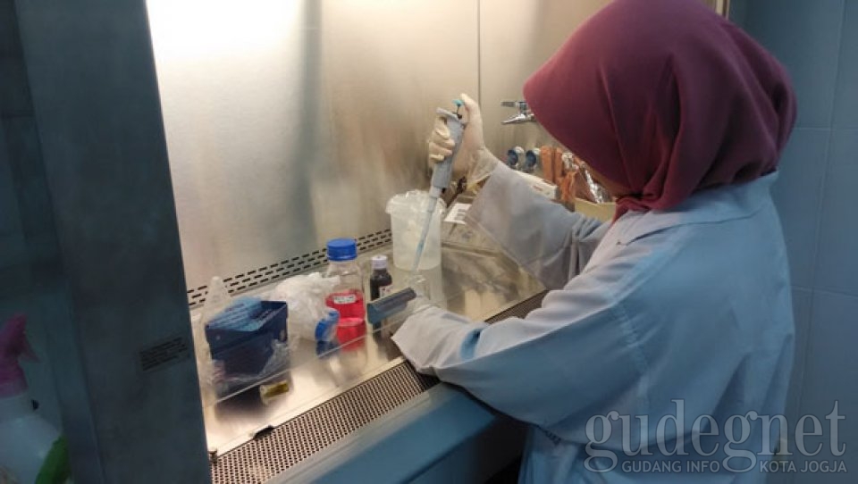 Tak disangka, Ternyata Cincau Bisa Jadi Antioksidan Tubuh Tak disangka, Ternyata Cincau Bisa Jadi Antioksidan Tubuh