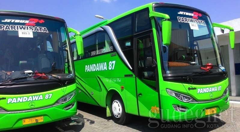 Tip Mudik Aman Pakai Bus, Wajib Diperhatikan! Tip Mudik Aman Pakai Bus, Wajib Diperhatikan!