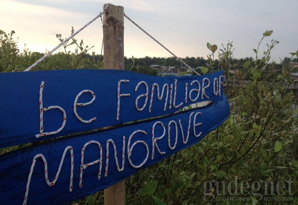 Libur 17 Agustus, Pilih Hutan Mangrove Ini Libur 17 Agustus, Pilih Hutan Mangrove Ini