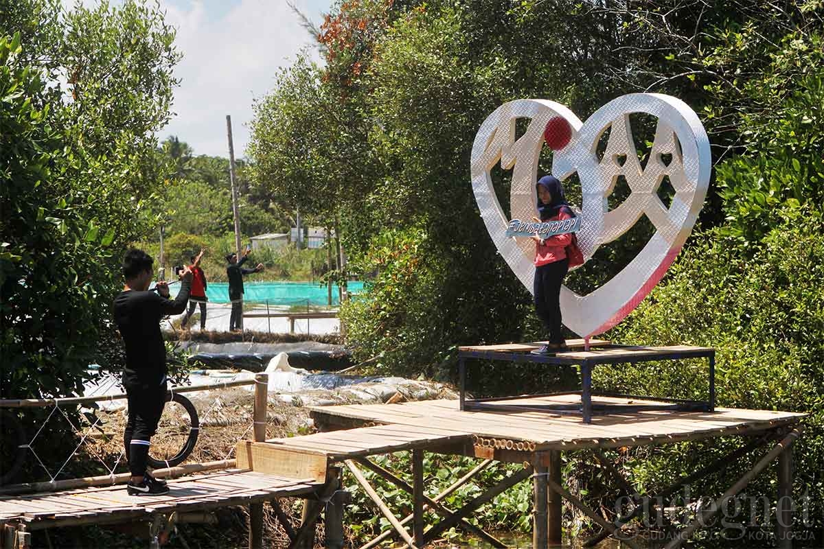 Pengelola Hutan Mangrove Sedot Ribuan Pengunjung Lewat Sosial Media Pengelola Hutan Mangrove Sedot Ribuan Pengunjung Lewat Sosial Media