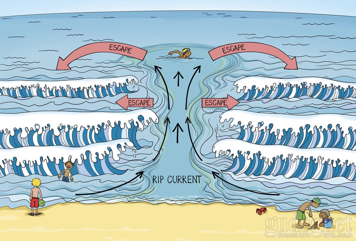 Penting! 5 Fakta Rip Current, Penyebab Tewasnya Wisatawan di Pantai Selatan Penting! 5 Fakta Rip Current, Penyebab Tewasnya Wisatawan di Pantai Selatan