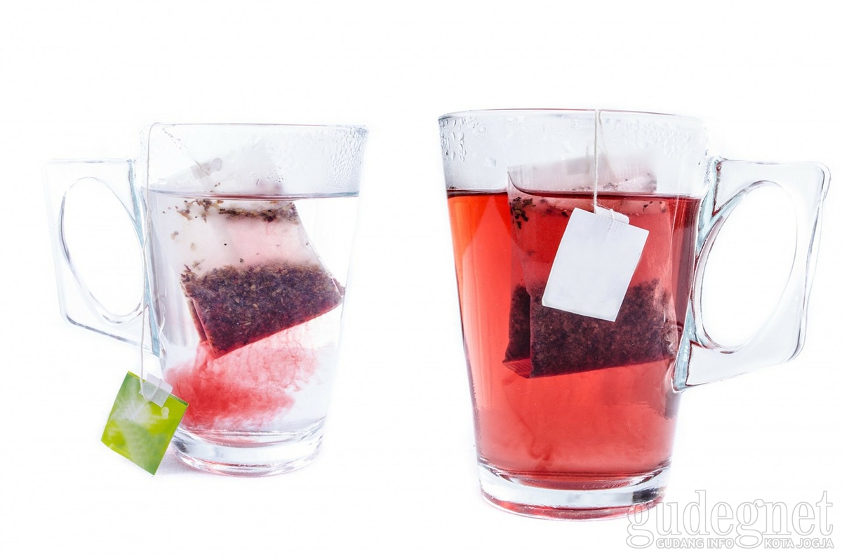 Teh Celup Bekas Jangan Dibuang, Banyak Manfaatnya Lho! Teh Celup Bekas Jangan Dibuang, Banyak Manfaatnya Lho!