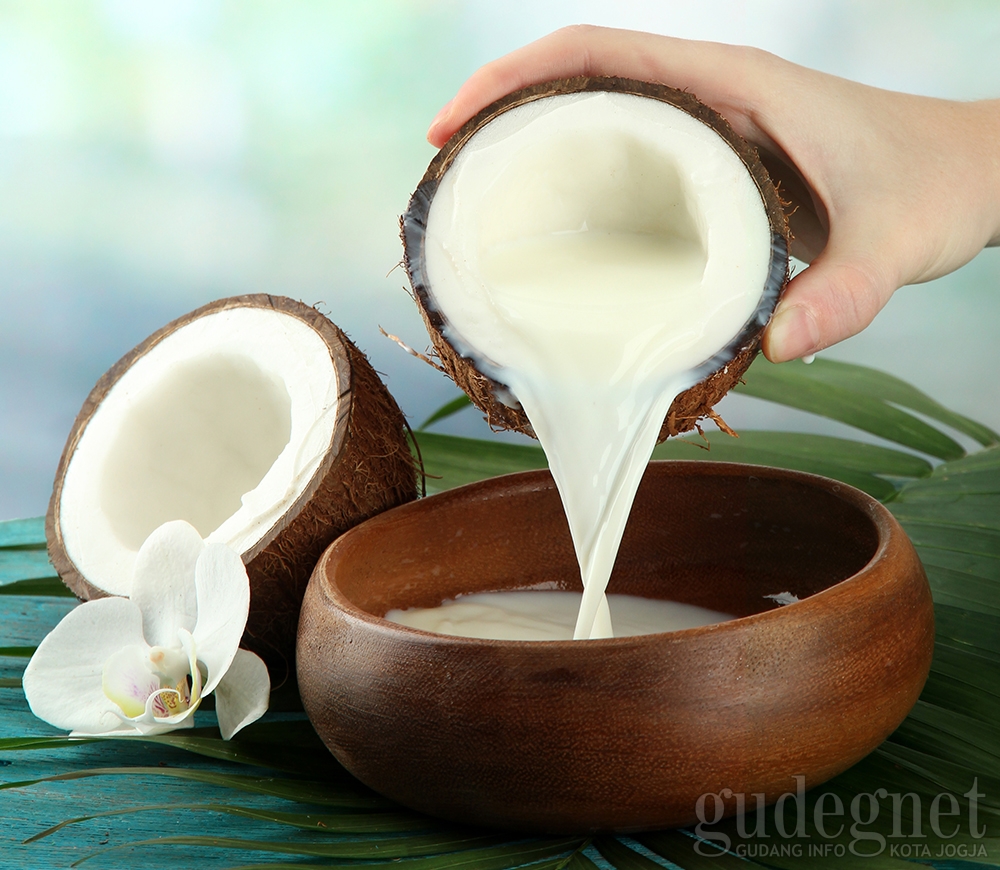 Tips Memasak Santan Agar Tidak Pecah Tips Memasak Santan Agar Tidak Pecah