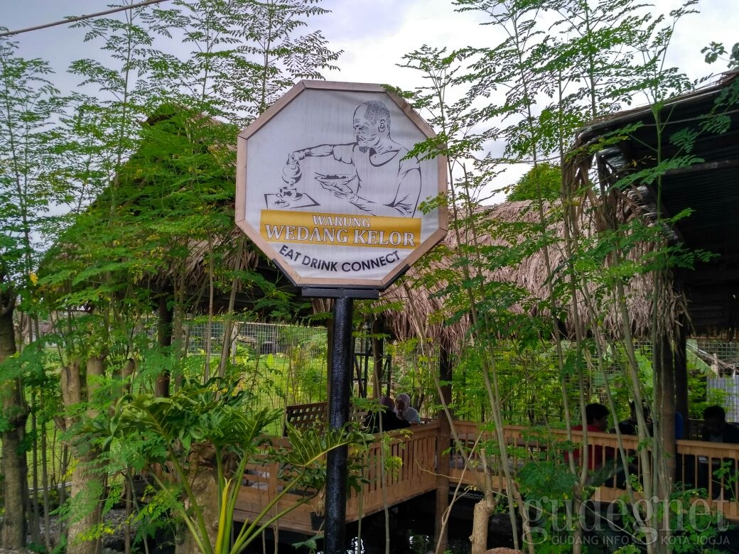 Kenapa Daun Kelor Disebut Tanaman Ajaib? Ini Penjelasannya! Kenapa Daun Kelor Disebut Tanaman Ajaib? Ini Penjelasannya!
