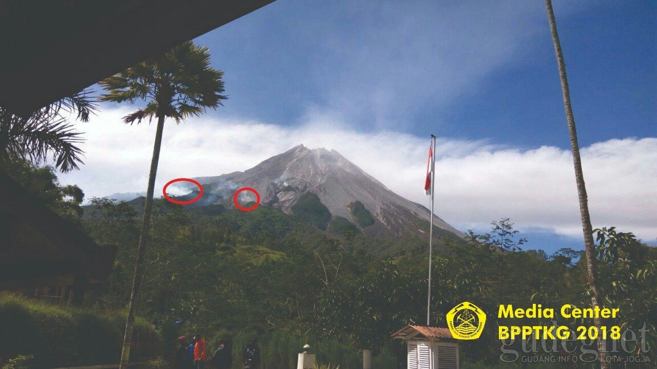 Bukan Awan Panas, Kebakaran Hutan Merapi Disebabkan Material Jatuhan Panas