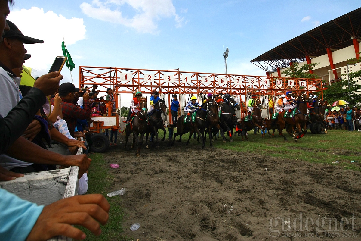 Kejurnas Pacuan Kuda Piala Raja Tingkatkan Kunjungan Wisatawan ke Yogyakarta Kejurnas Pacuan Kuda Piala Raja Tingkatkan Kunjungan Wisatawan ke Yogyakarta