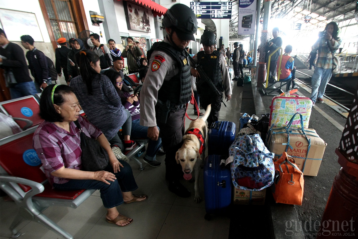 Anjing Pelacak Disiagakan untuk Pengamanan Nataru di Stasiun Tugu Anjing Pelacak Disiagakan untuk Pengamanan Nataru di Stasiun Tugu