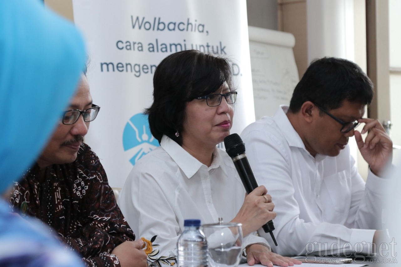 Wolbachia Diharapkan Tekan Sebaran Virus Dengue di Yogya Wolbachia Diharapkan Tekan Sebaran Virus Dengue di Yogya