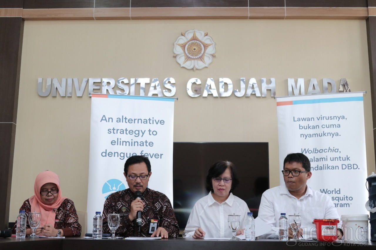 Kasus DBD Naik Lima Kali Lipat di Yogyakarta Kasus DBD Naik Lima Kali Lipat di Yogyakarta