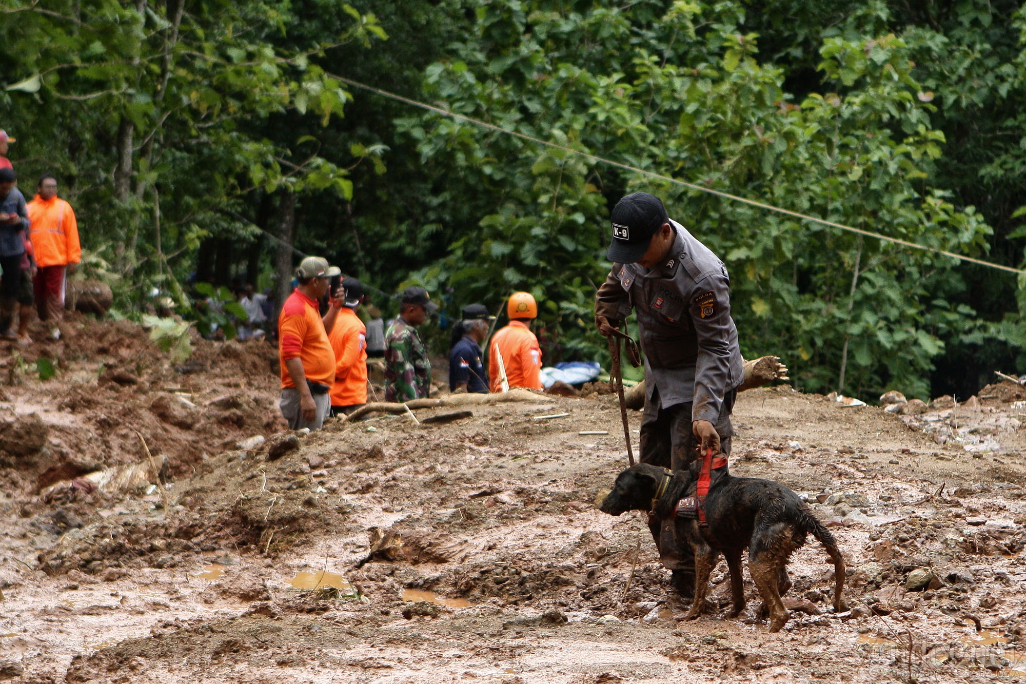 Unit K9 Polda DIY Diturunkan Bantu Evakuasi Longsor Imogiri Unit K9 Polda DIY Diturunkan Bantu Evakuasi Longsor Imogiri