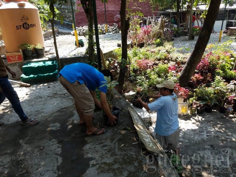 Wujudkan Code Sejuta Bunga, Warga dan Mahasiswa KKN UIN SUKA Asrikan Kampung Wujudkan Code Sejuta Bunga, Warga dan Mahasiswa KKN UIN SUKA Asrikan Kampung