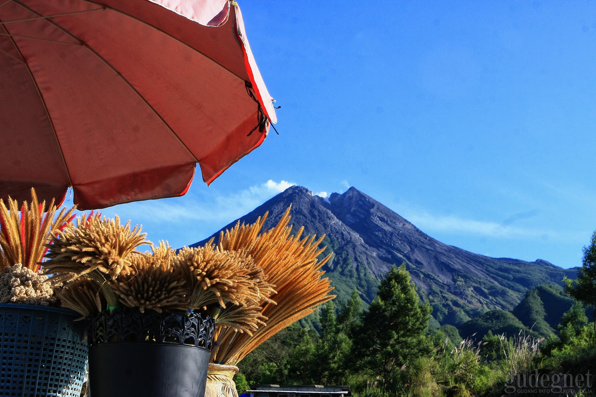 Perkembangan Merapi: 9 Kali Guguran Lava Perkembangan Merapi: 9 Kali Guguran Lava