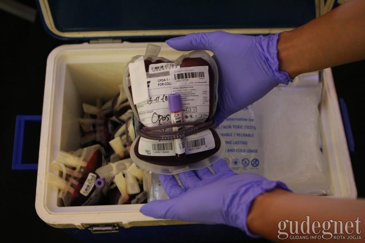 Sudah Donor Darah Belum? Cek Jadwal Pekan Ini Sudah Donor Darah Belum? Cek Jadwal Pekan Ini