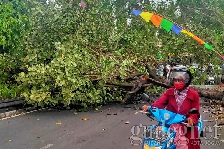 Hujan Lebat Disertai Angin Kencang di DIY Akibatkan Sejumlah Kerusakan Hujan Lebat Disertai Angin Kencang di DIY Akibatkan Sejumlah Kerusakan