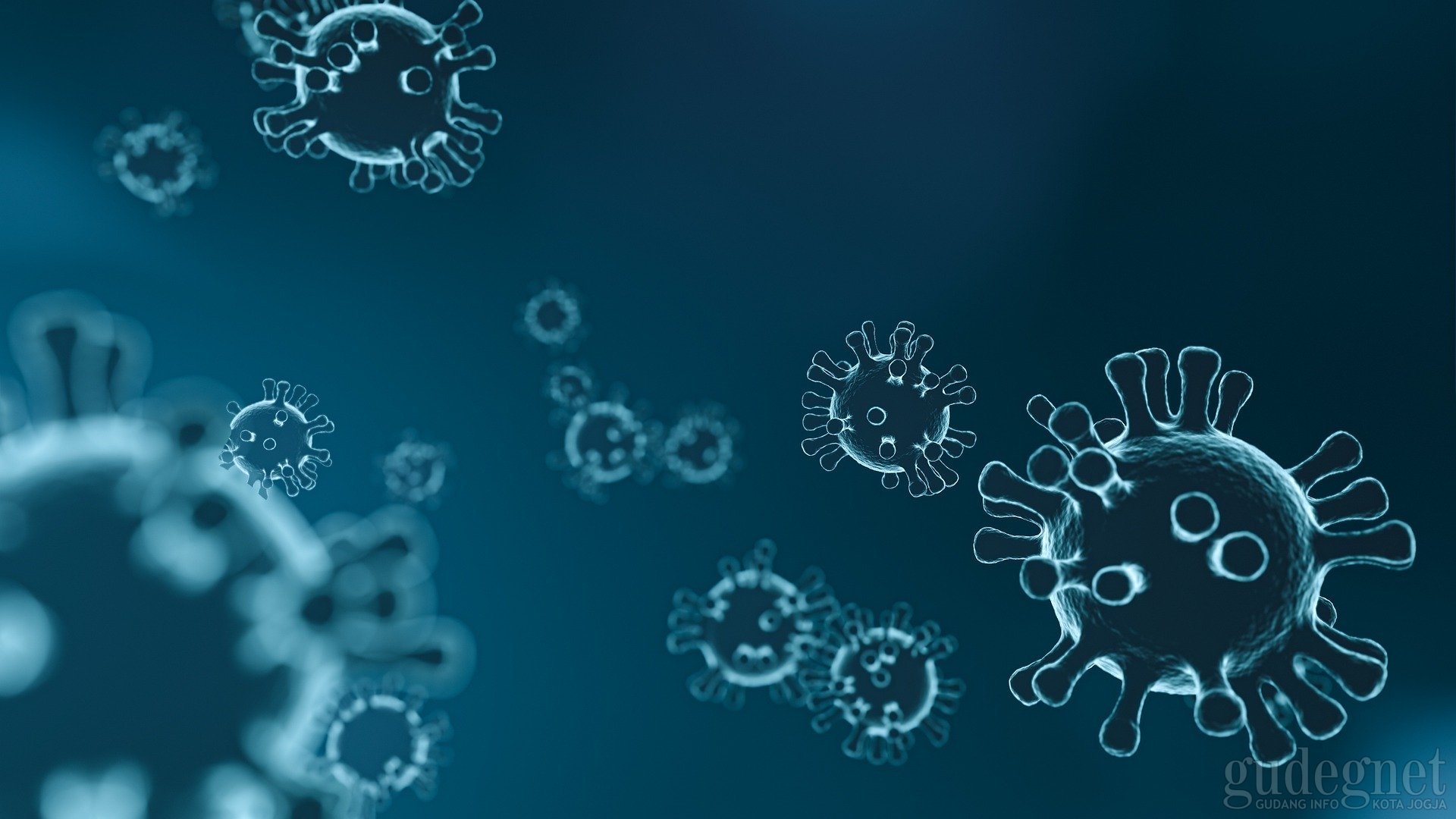 Tips Kenali dan Cegah Virus Corona Tips Kenali dan Cegah Virus Corona