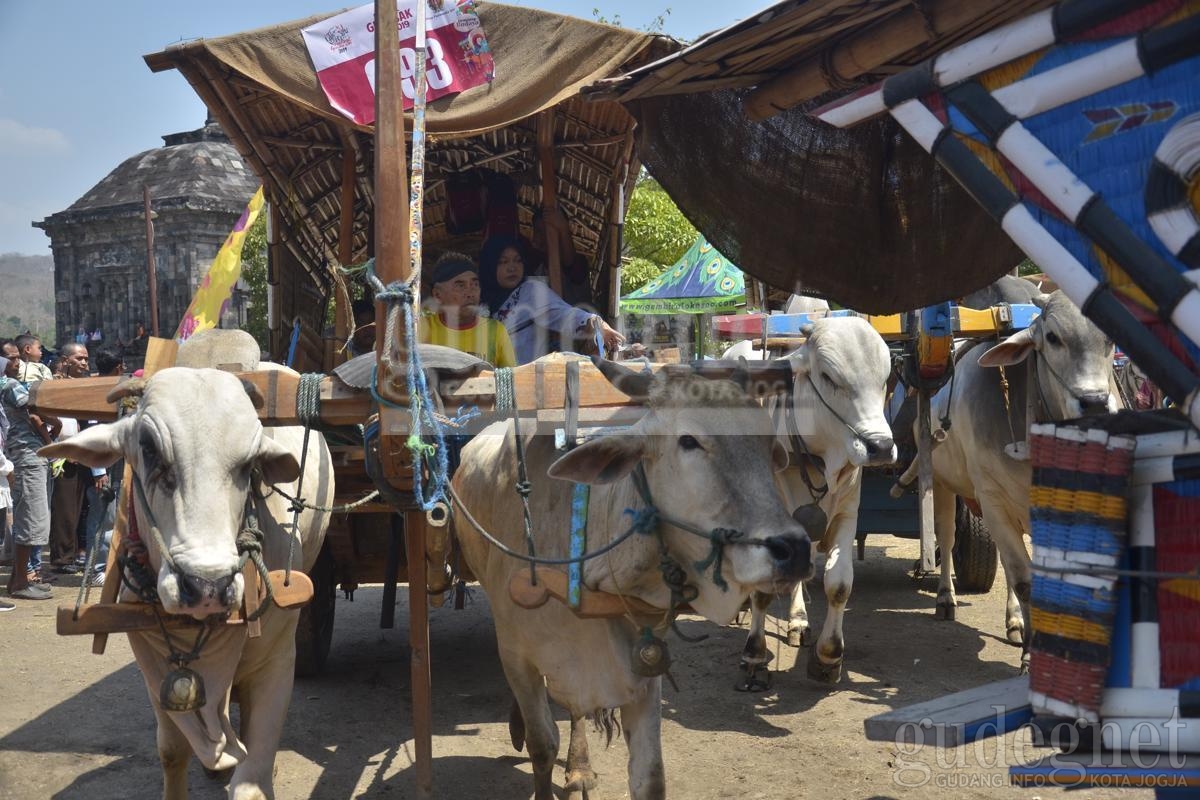 Ratusan Gerobak Sapi Meriahkan FGS 2019 Ratusan Gerobak Sapi Meriahkan FGS 2019