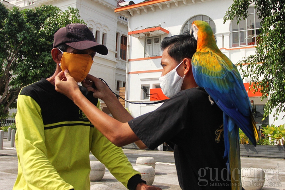Peduli Covid-19, Jogja Parrot Diningrat Bagikan Masker di Titik Nol Peduli Covid-19, Jogja Parrot Diningrat Bagikan Masker di Titik Nol