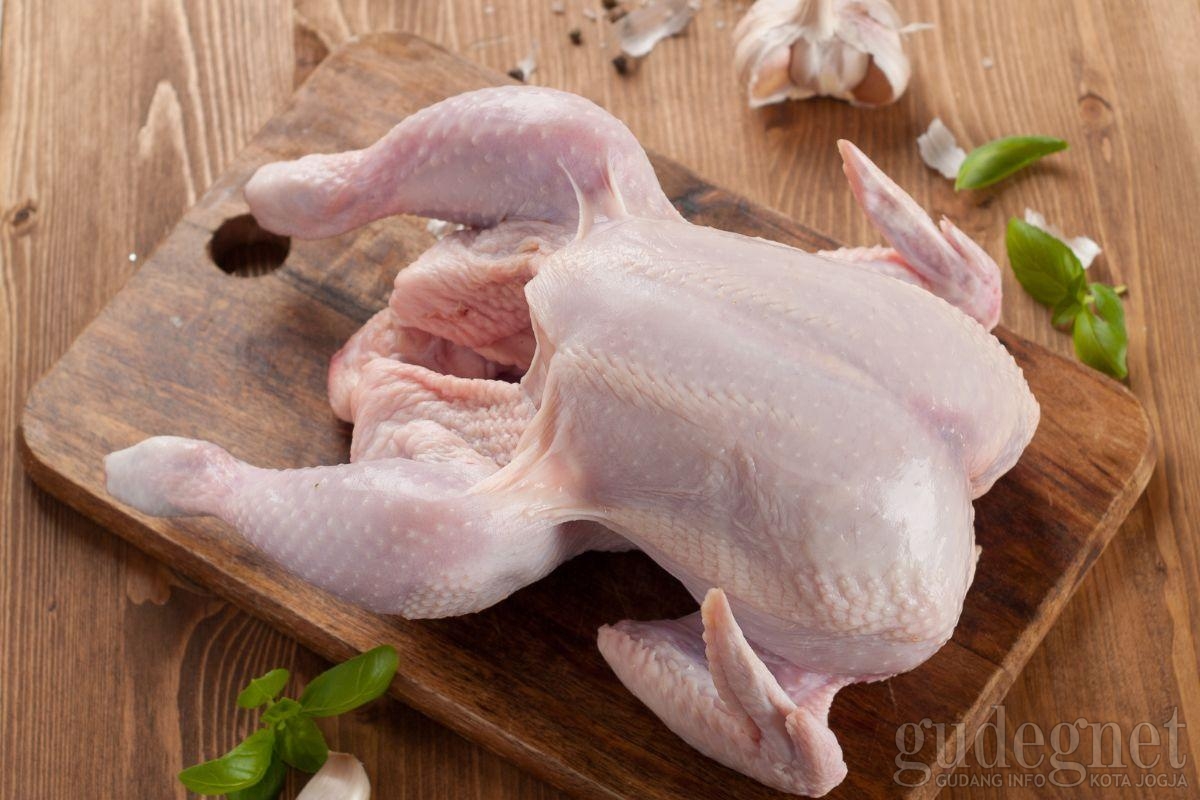 Cara Memilih Ayam yang Segar dan Baik Cara Memilih Ayam yang Segar dan Baik