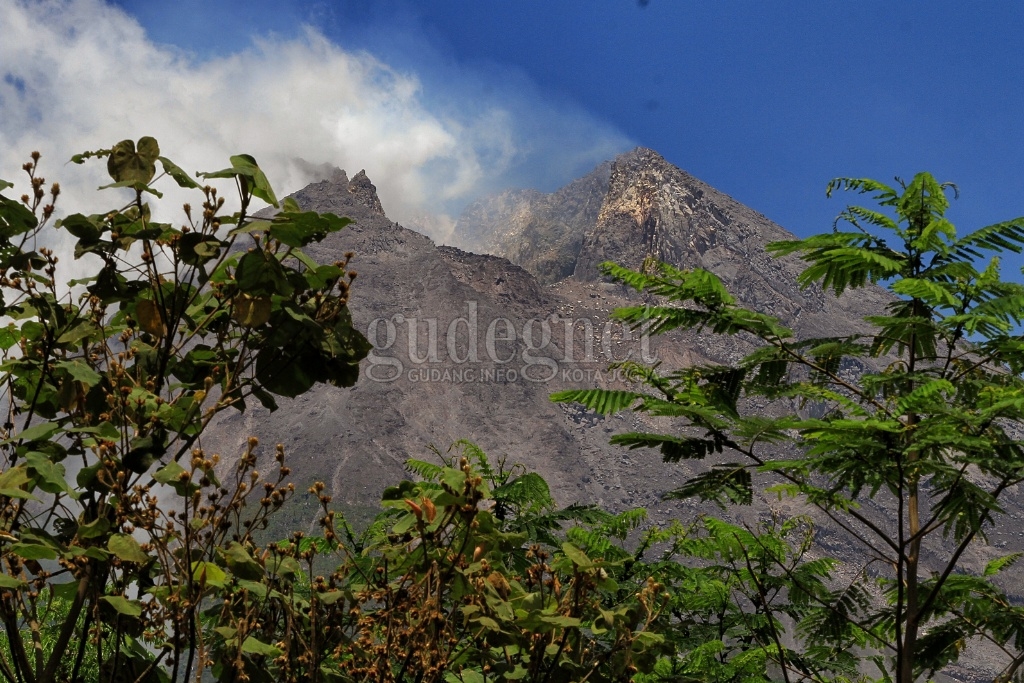 11 Gempa Tektonik Terjadi di Merapi dalam Sepekan 11 Gempa Tektonik Terjadi di Merapi dalam Sepekan