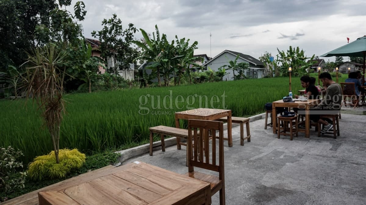 Lima Tempat Ngopi dengan Pemandangan Sawah Lima Tempat Ngopi dengan Pemandangan Sawah