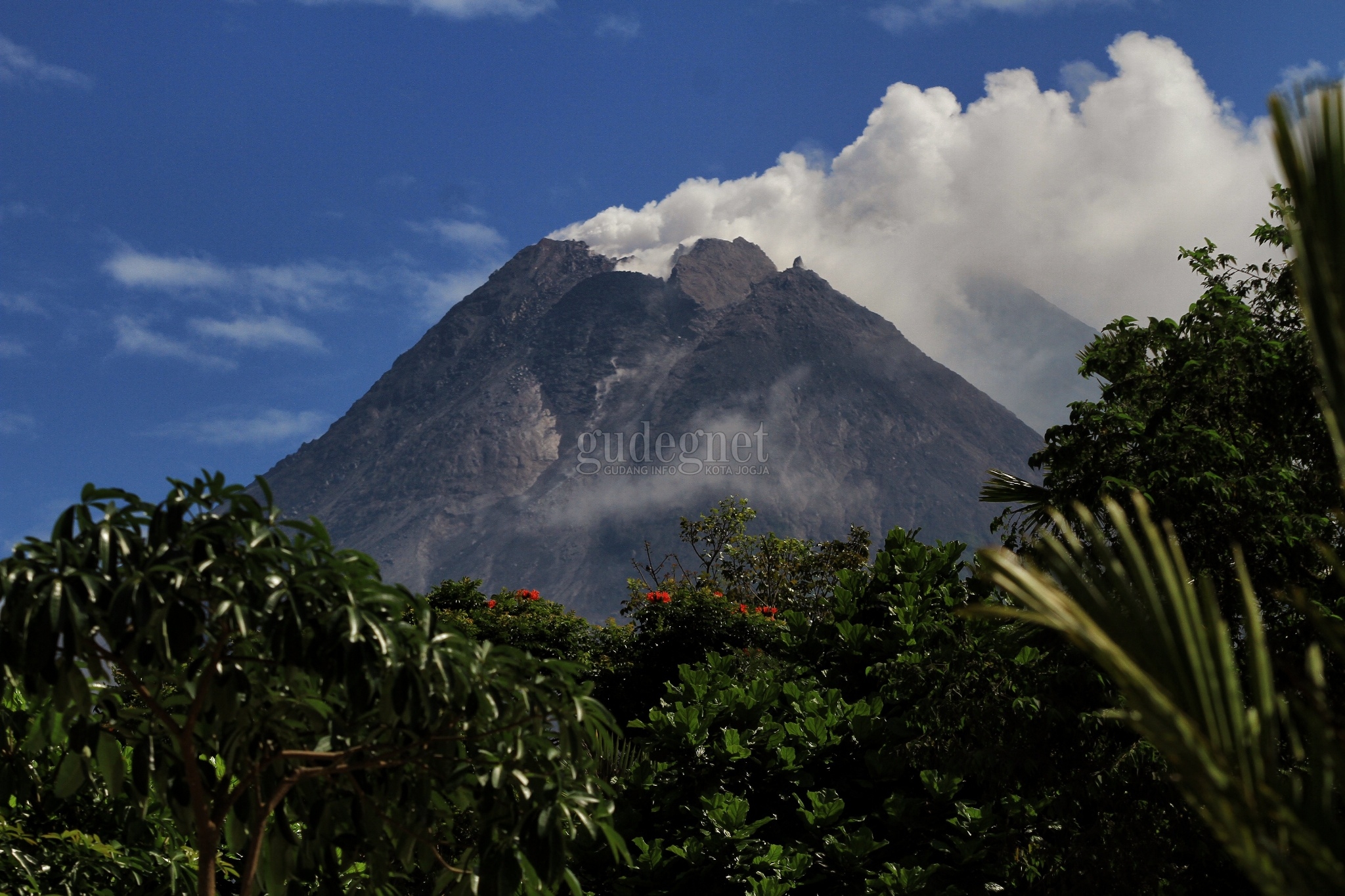 Merapi Muntahkan Awan Panas Guguran, Jarak Luncur 800 Meter Merapi Muntahkan Awan Panas Guguran, Jarak Luncur 800 Meter