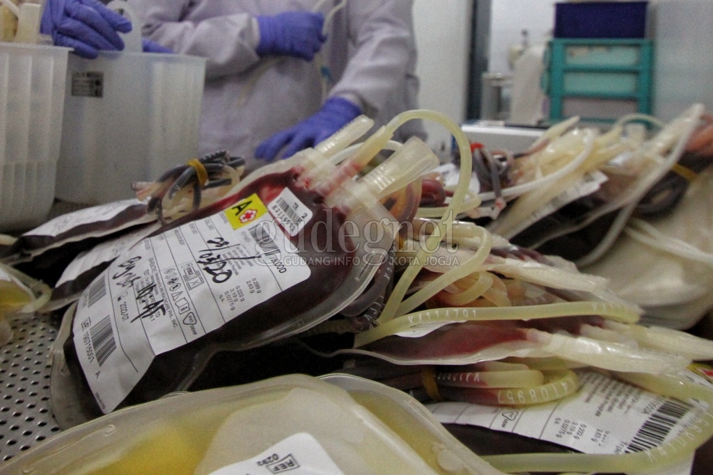 Stok Darah di PMI se- DIY, Kami 25 Februari 2021 Stok Darah di PMI se- DIY, Kami 25 Februari 2021