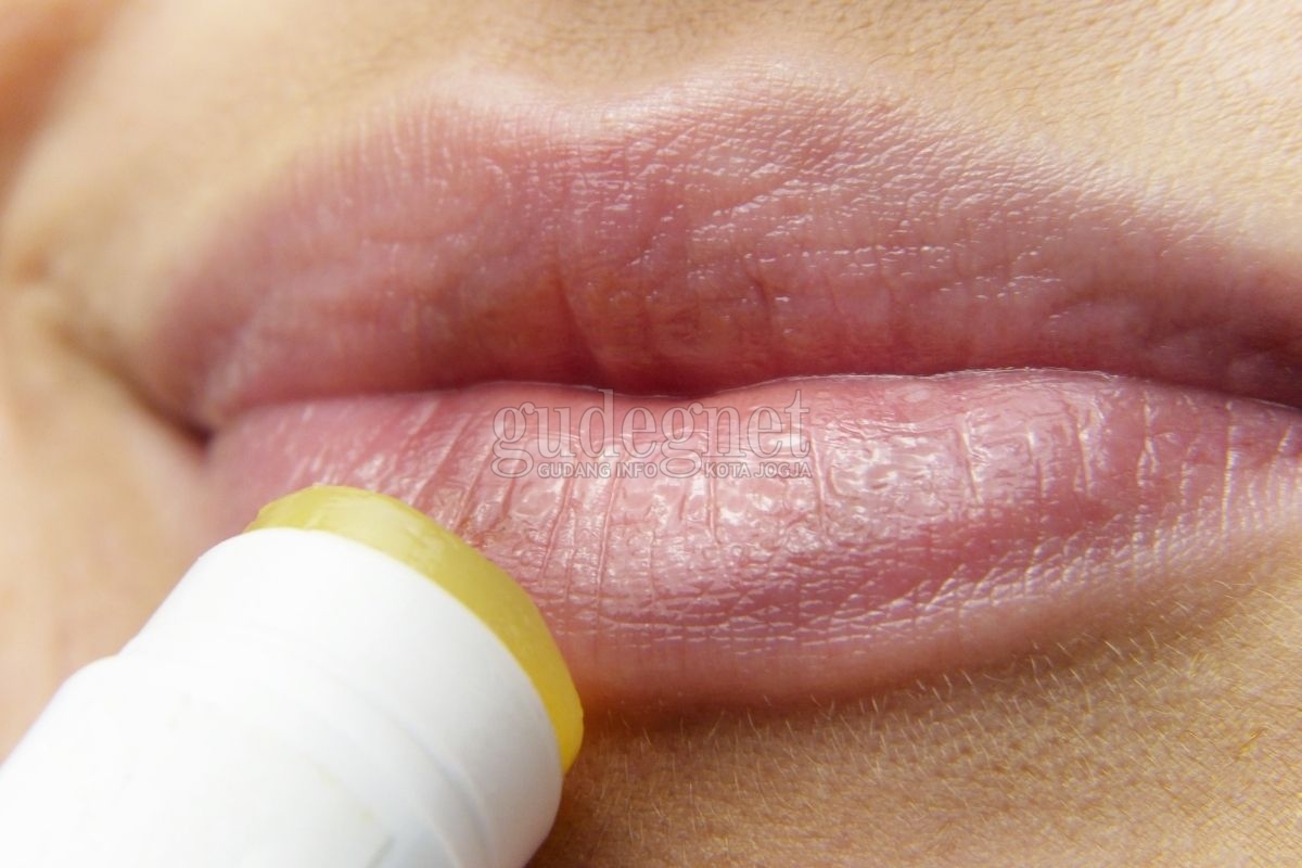 10 Cara Membuat Bibir Lembut dan Kemerahan Secara Alami 10 Cara Membuat Bibir Lembut dan Kemerahan Secara Alami