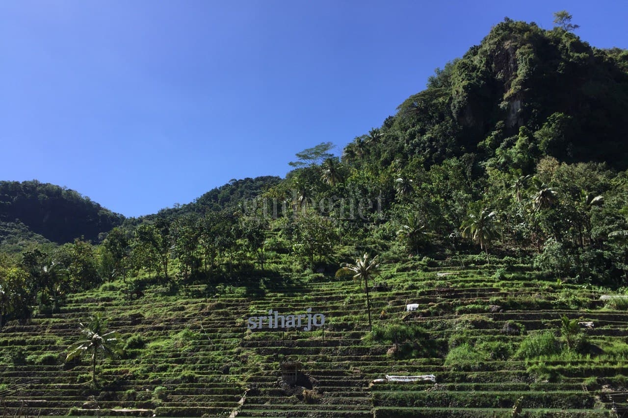 Menikmati Keindahan Alam di Desa Wisata Srikeminut Menikmati Keindahan Alam di Desa Wisata Srikeminut