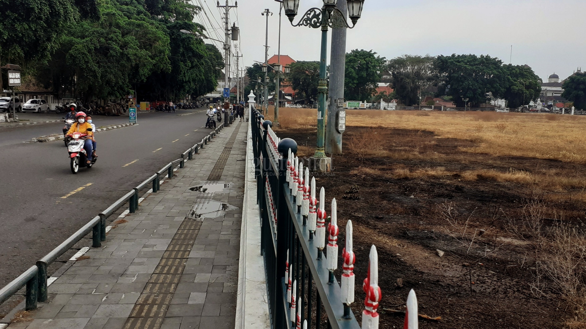 Rumput Lapangan Alun-alun Utara Keraton Terbakar, Ini Penjelasan Protokoler Keraton Rumput Lapangan Alun-alun Utara Keraton Terbakar, Ini Penjelasan Protokoler Keraton