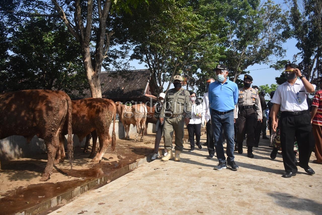 Ini Ketentuan dan Tata Cara Penyembelihan Hewan Kurban di Sleman Ini Ketentuan dan Tata Cara Penyembelihan Hewan Kurban di Sleman