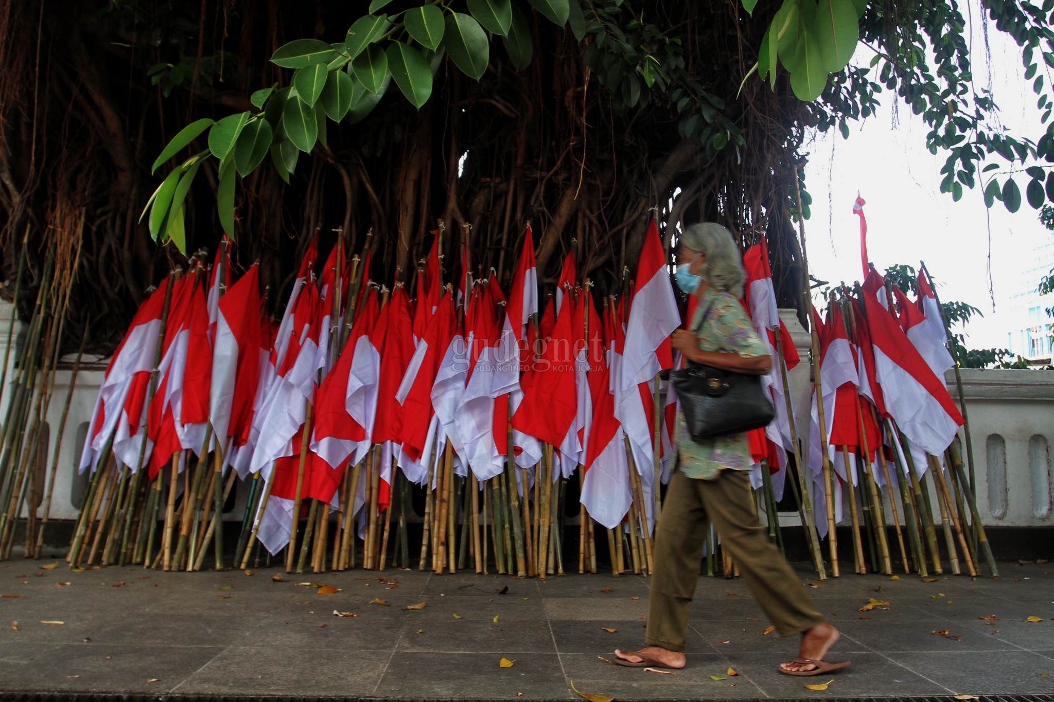 Peringati HUT Ke-76 RI, Ratusan Bendera Merah Putih Hiasi Malioboro Peringati HUT Ke-76 RI, Ratusan Bendera Merah Putih Hiasi Malioboro