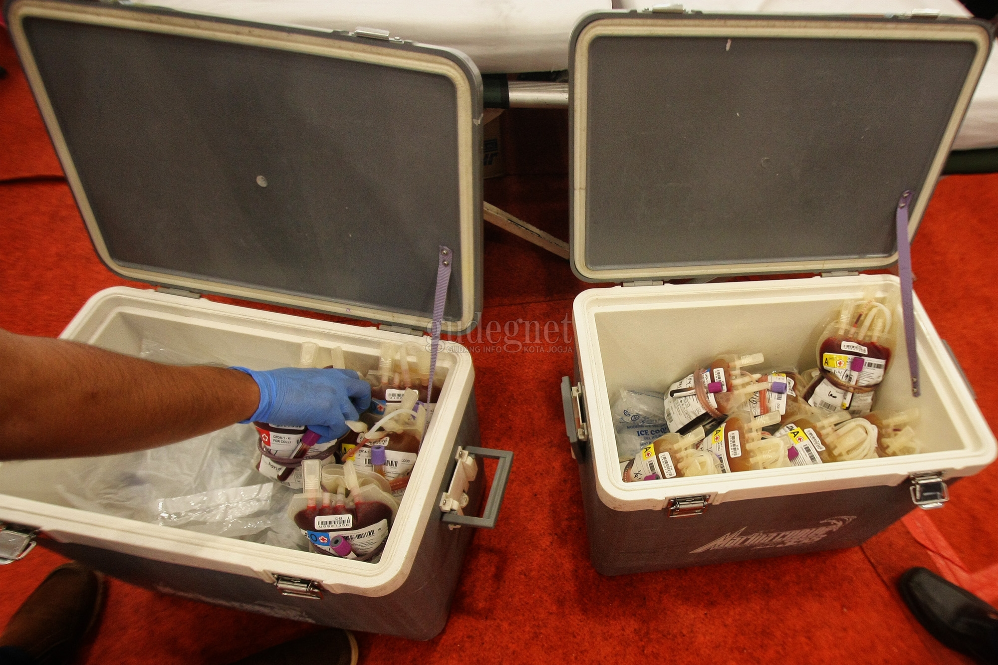 Stok Darah PMI Se-DIY, Rabu 22 September 2021 Stok Darah PMI Se-DIY, Rabu 22 September 2021