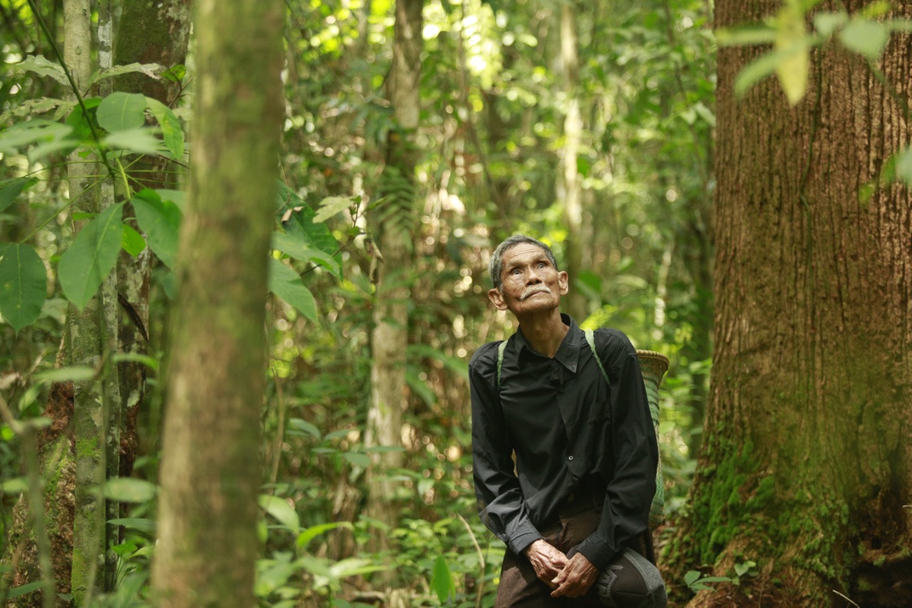 The Flame, Film Dokumenter JAFF 2021 Tentang Hutan Adat Kalimantan The Flame, Film Dokumenter JAFF 2021 Tentang Hutan Adat Kalimantan