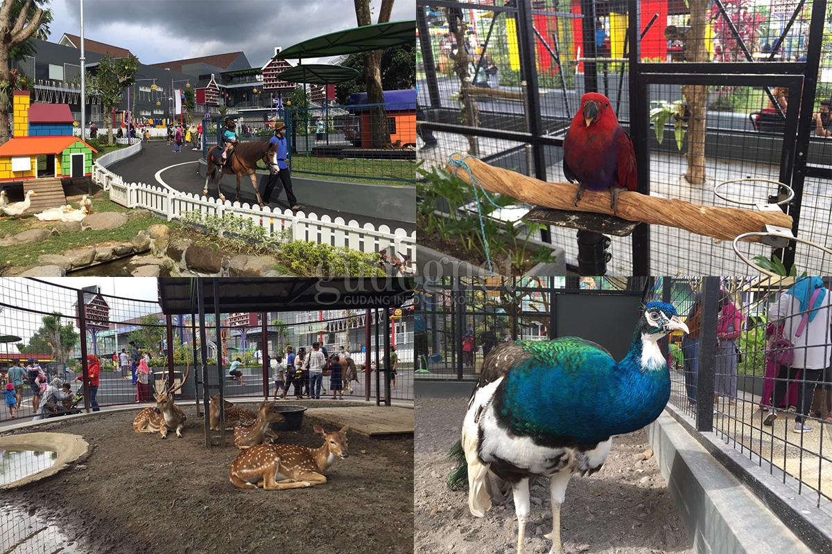 Ini Keseruan di Suraloka Zoo Ini Keseruan di Suraloka Zoo