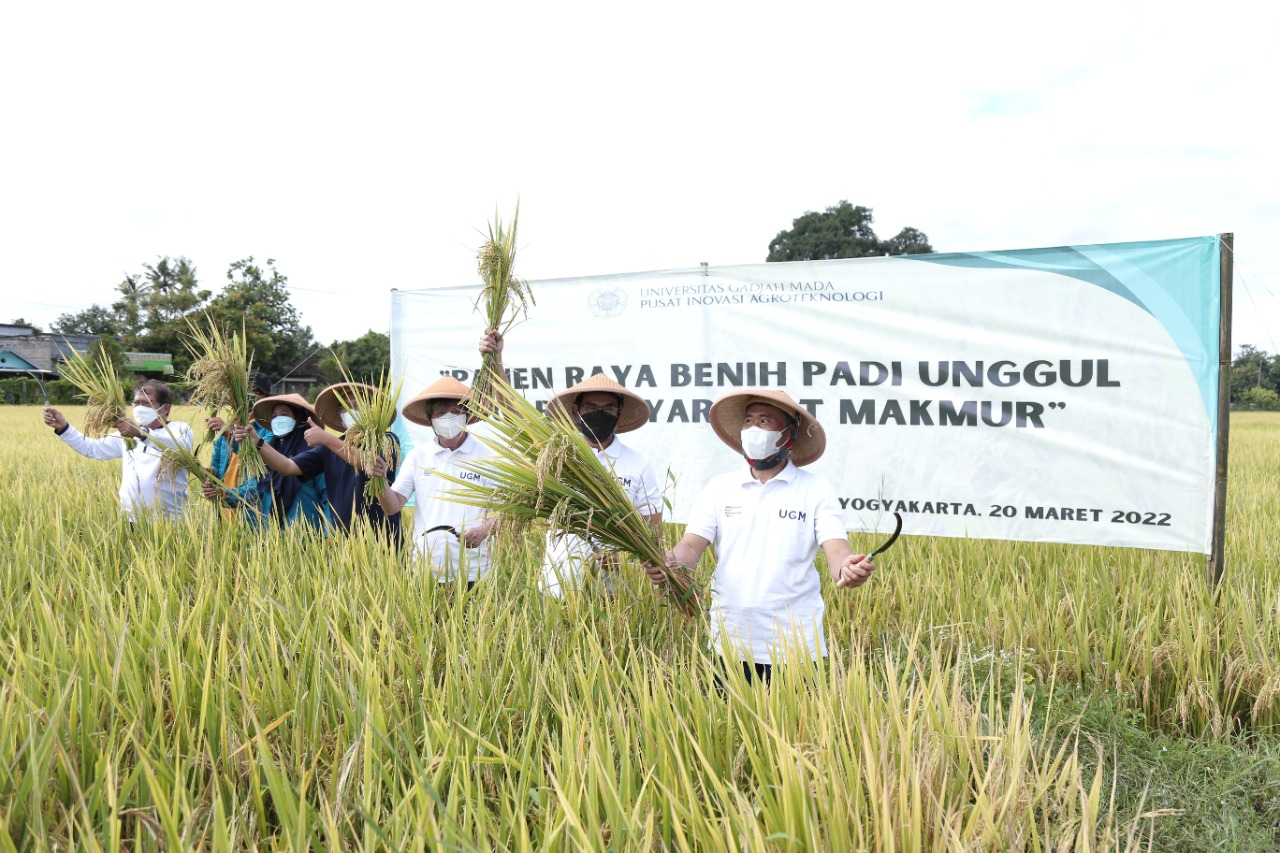 UGM Kembangkan Padi ‘Amphibi’ Gamagora UGM Kembangkan Padi ‘Amphibi’ Gamagora