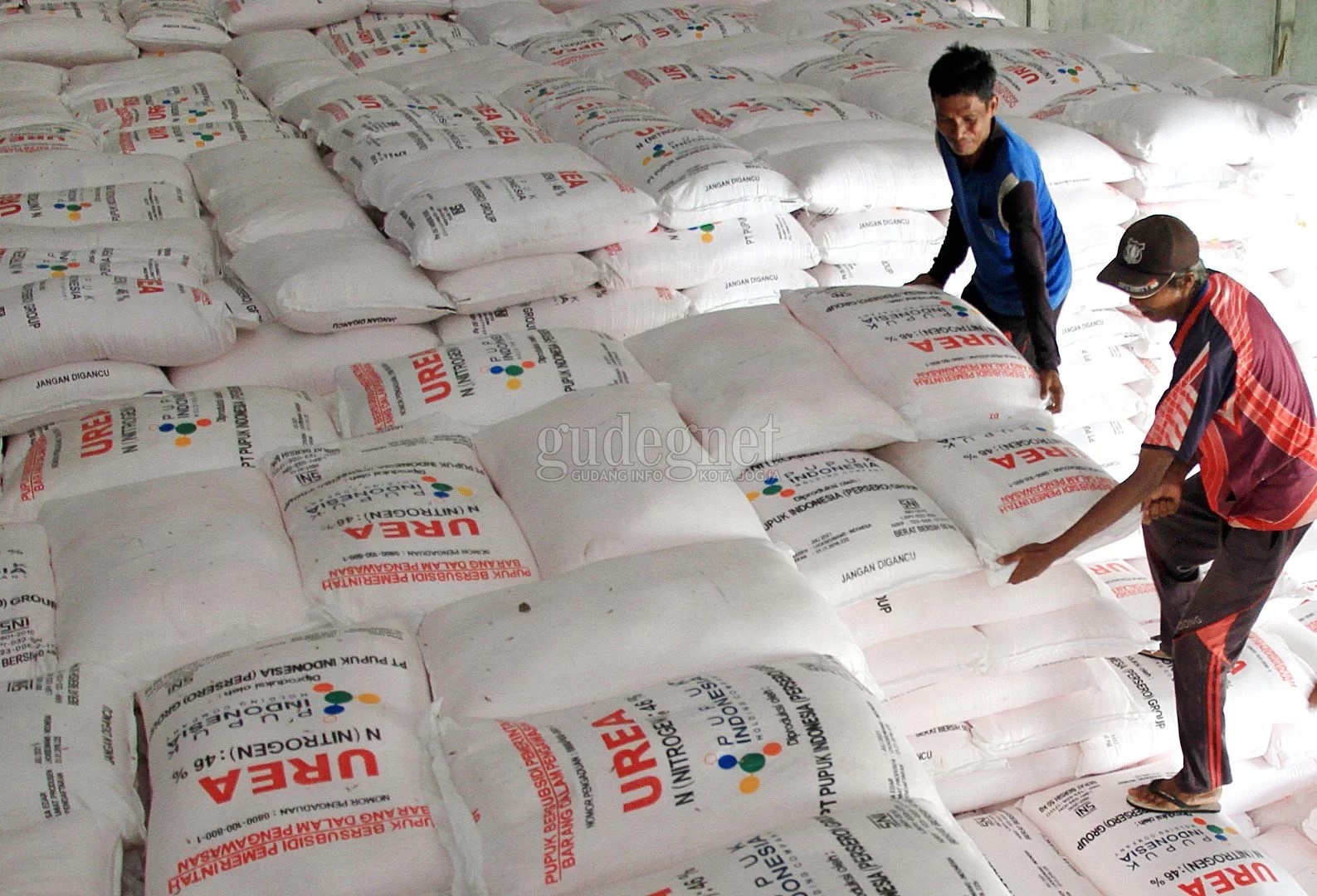 Perlunya Digitalisasi Mekanisme Penyaluran Pupuk Subsidi Pemerintah sampai ke Petani Perlunya Digitalisasi Mekanisme Penyaluran Pupuk Subsidi Pemerintah sampai ke Petani
