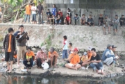Tabur 1 juta benih ikan di Sungai Bedog