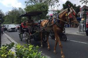 Cuaca DIY Kamis 3 September 2020, Waspadai Potensi Hujan Sedang-Lebat