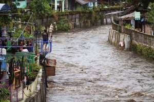 Hujan Deras Akibatkan Debit Sungai Code Naik dan Pohon Tumbang 